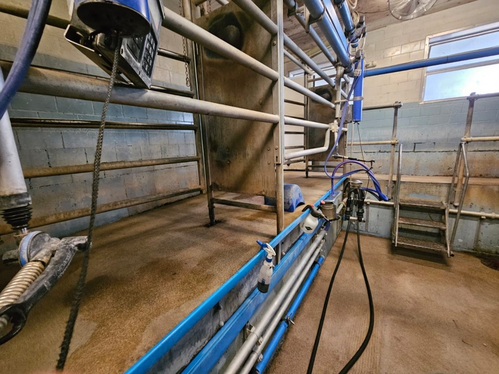 2ef3d65a-ac3f-422e-9fbf-7195bd6bd0cd-WhatsApp Bild 2025-09-29 um 21.jpg