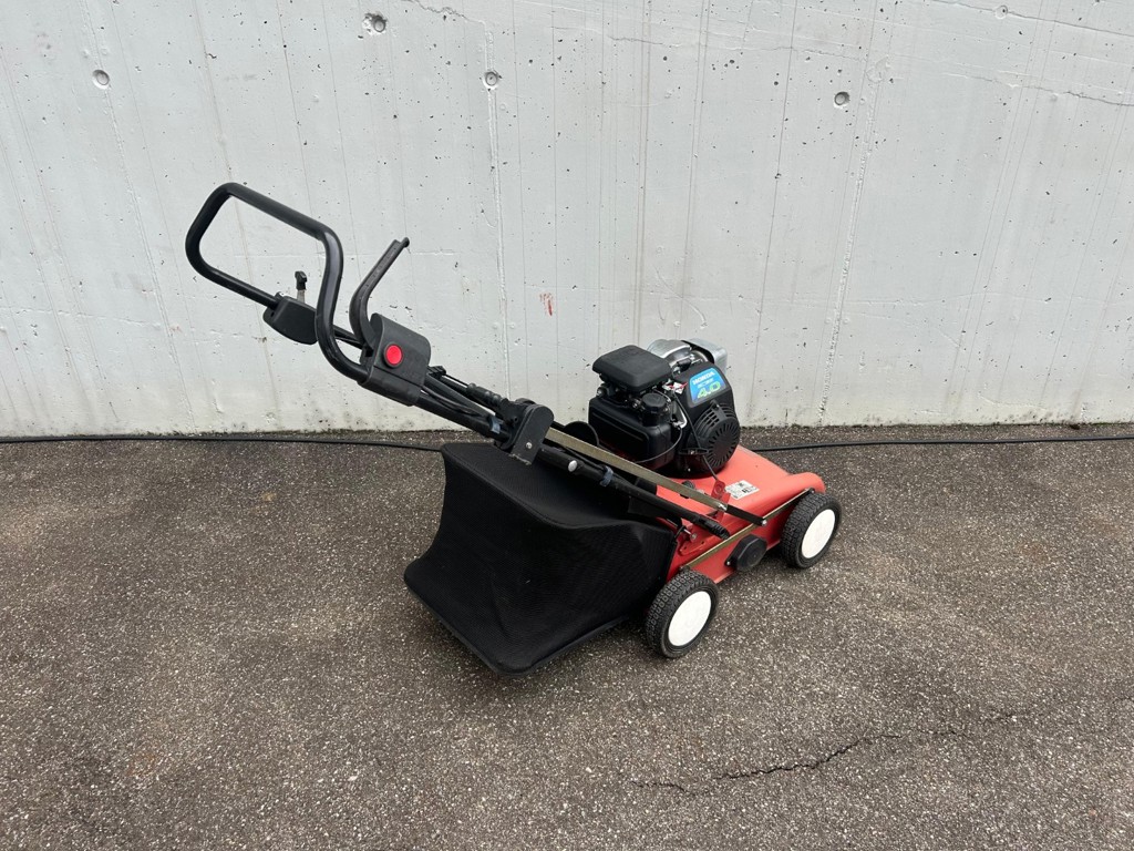 6cf0ee2e-22b1-4cae-9b25-53c6c3982704-WhatsApp Image 2025-09-26 at 11.jpg