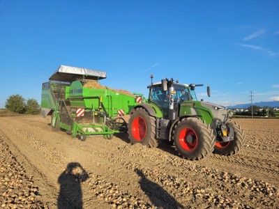 AVR Kartoffelvollernter / Arracheuse AVR 9200 Netagco -252