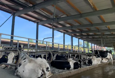 325d62b2-dd0a-4c19-85a3-25e83c7c2aa5-