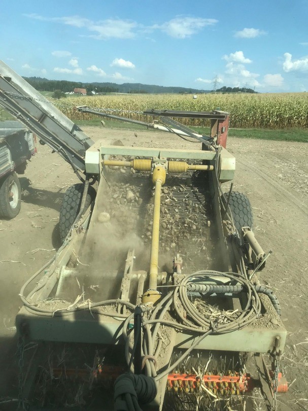 30694c06-5f9f-455b-9f85-f71a8a79ae5f-WhatsApp Bild 2025-09-13 um 11.jpg