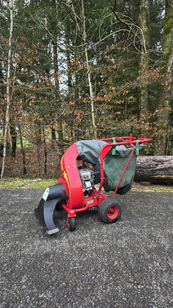 8d14d6f0-ebcb-4246-be65-6680bfca9a64-Hurrican Echo (3).jpg