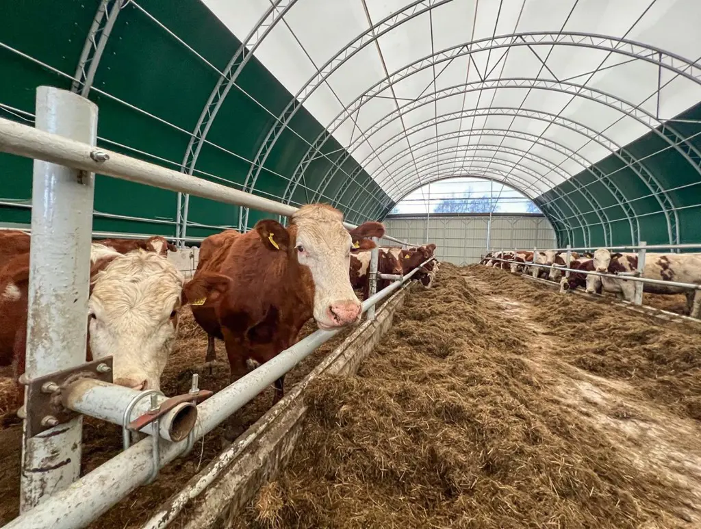 92a81bd0-7f4a-482d-b4d6-cb6cb8eb96b8-Hallen (12).jpg