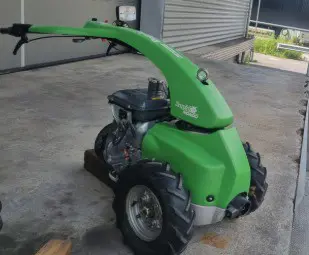 Rapid Mondo