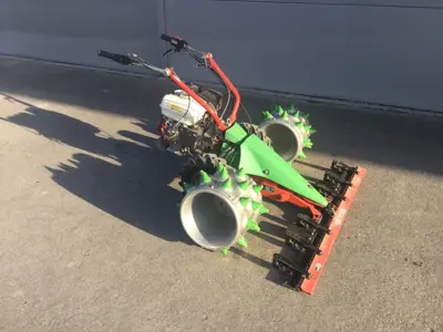 Rapid Rex