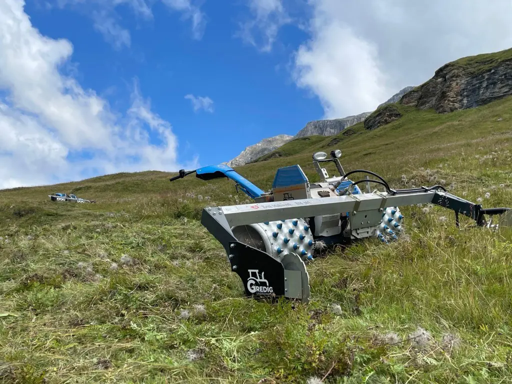 dfd9b2e1-61c4-4a47-9adc-3ae8e03214bf-WhatsApp Image 2026-02-14 at 11.44.16 (1).jpg