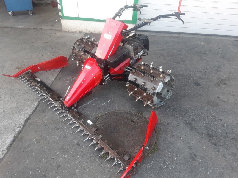 4840fbe8-24c4-4817-86b9-353b007332a5-20240719_132345 (1).jpg