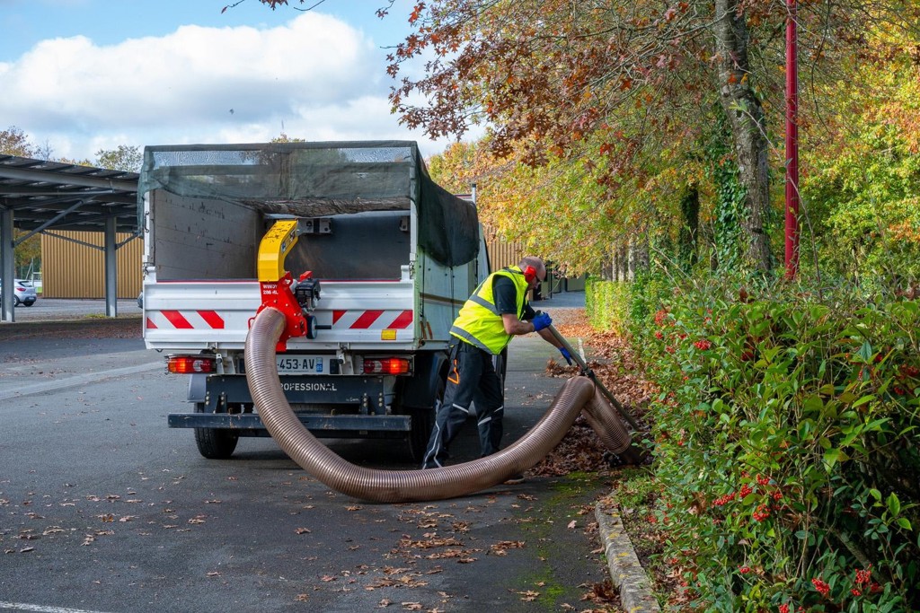 895acc8d-8151-4e90-b0e6-7e9abb31de08-Windy 286 RL_1.jpg