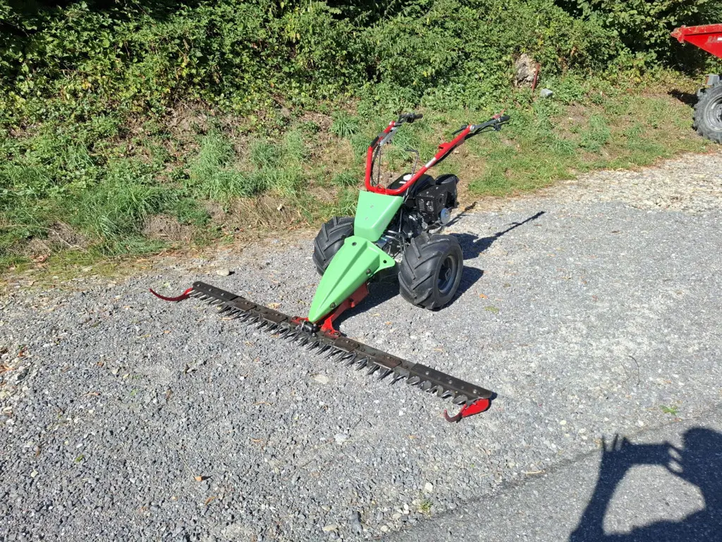 Rapid Swiss mit neuen Motor und 1.9m Balken