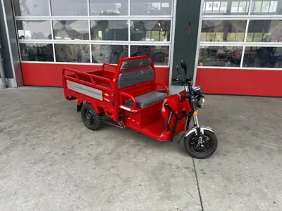 Elektro Lastendreirad Carello LDR 35 MF