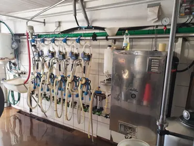 Rohrmelkanlage Milkline 5 Aggregate für 40 Kühe
