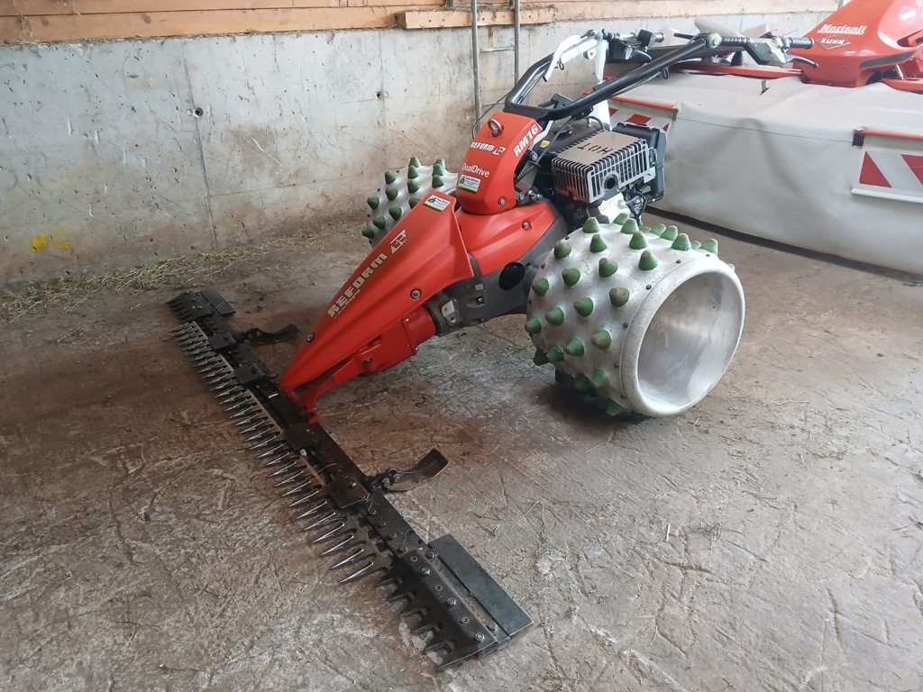 f28b0679-1f2c-41d9-86f8-a78fea8368e8-Immagine WhatsApp 2025-09-22 ore 17.jpg