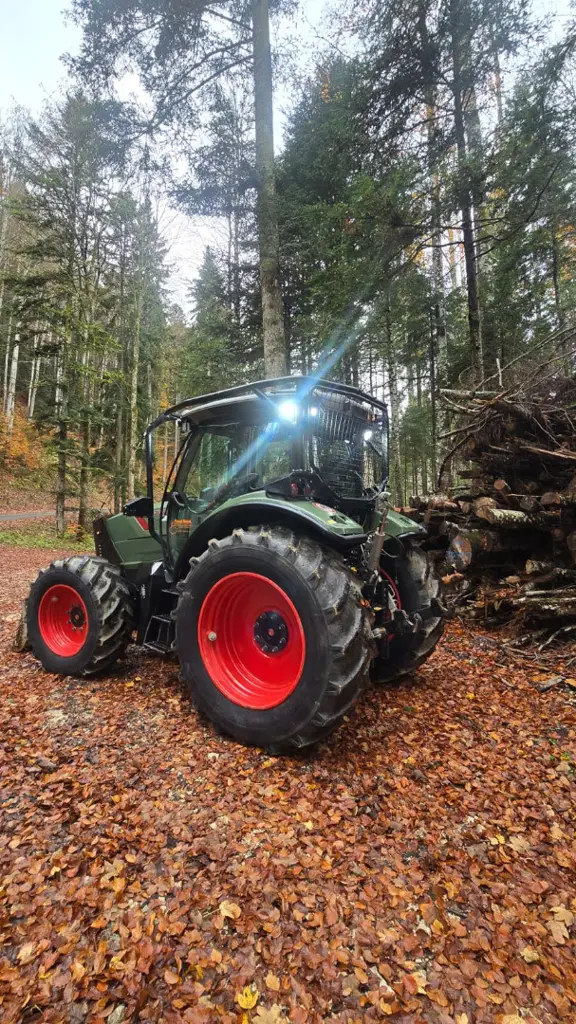 794f74df-b9dc-4777-ad7d-a92c4abe2422-20251030_151928000_iOS 3.jpg