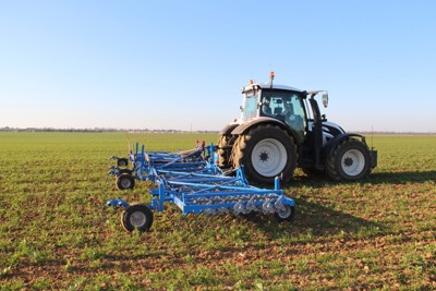 Striegel Carré Pressius !AKTION!