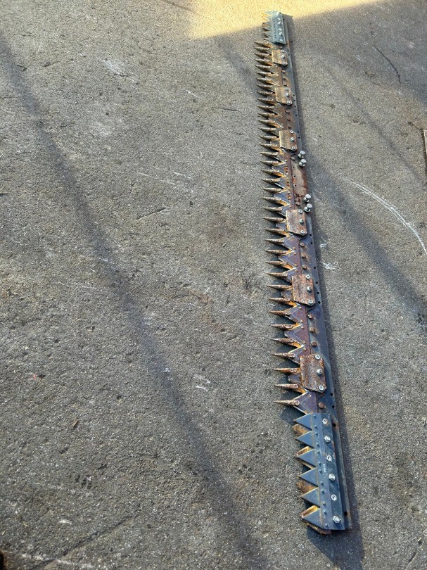 097a15ae-bcf3-448e-a98d-d7368fd6d01a-Foto 12.12.25, 10 45 30.jpg