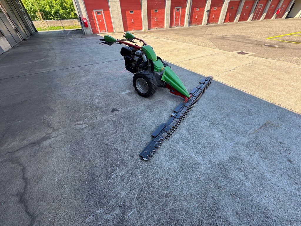 9d895289-7dad-49dc-8748-5e249cb6c05b-Rapid Orbito 10012555 4.png