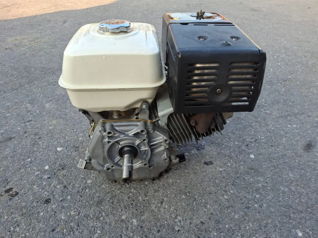 cb6def27-c3a9-44be-9524-085cc292fccc-20260812_073232.jpg