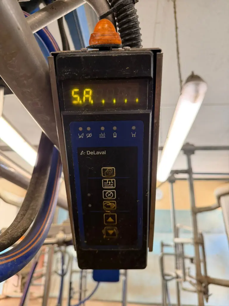 d7a13677-c30e-49ba-a77d-ba284988d0fd-WhatsApp Image 2026-03-19 at 09.06.15 (2).jpg