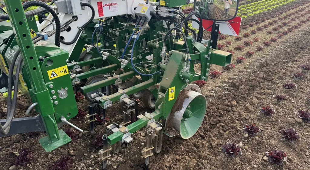 86948fa1-7be2-481c-bf1c-1e9ce7a9741d-Screenshot 2026-03-26 075208.jpg