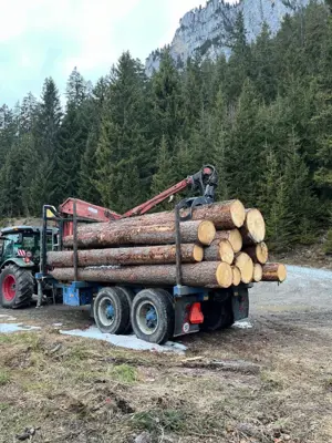 Forstanhänger  Rückewagen
