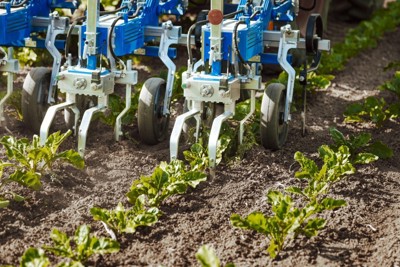 KRATZER -DAHLIA In-Row Hackgerät
