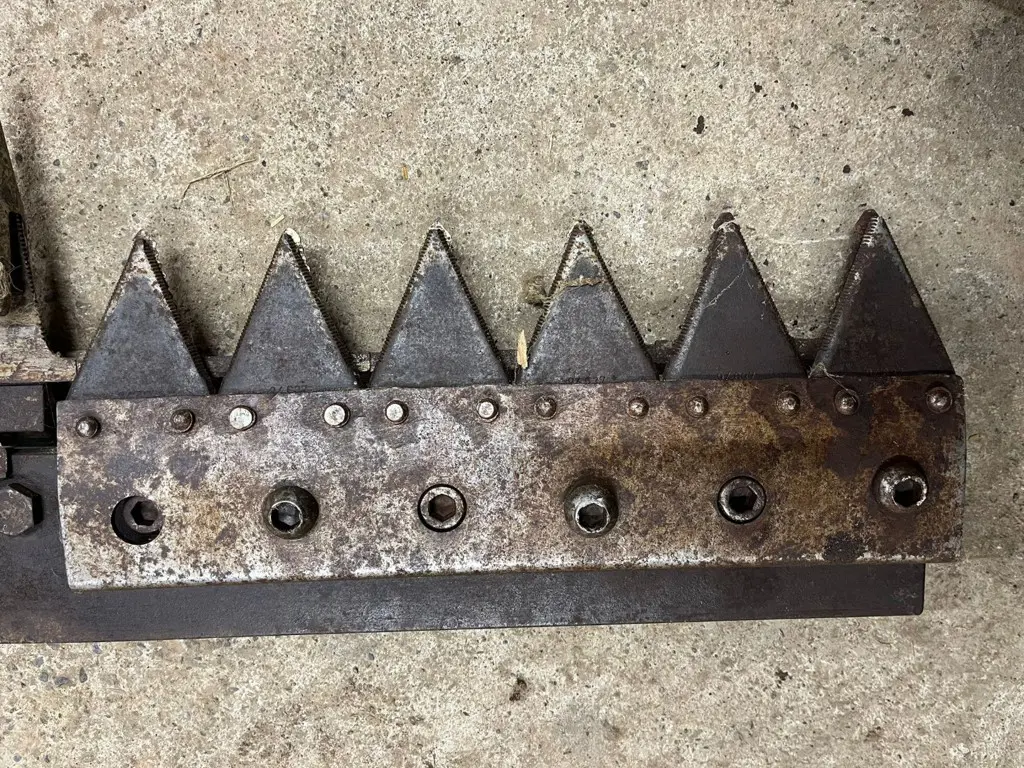 b3466786-c793-4fa4-8a94-3c9abaeffe9b-WhatsApp Image 2026-02-24 at 16.jpg