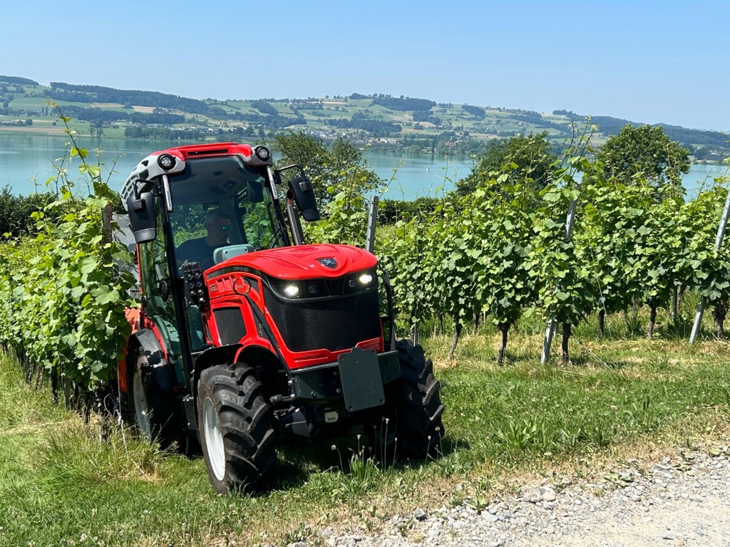 0aad311d-2cb8-45c8-b184-15eb17243296-WhatsApp Image 2025-06-23 at 14.35.06 (10).jpg