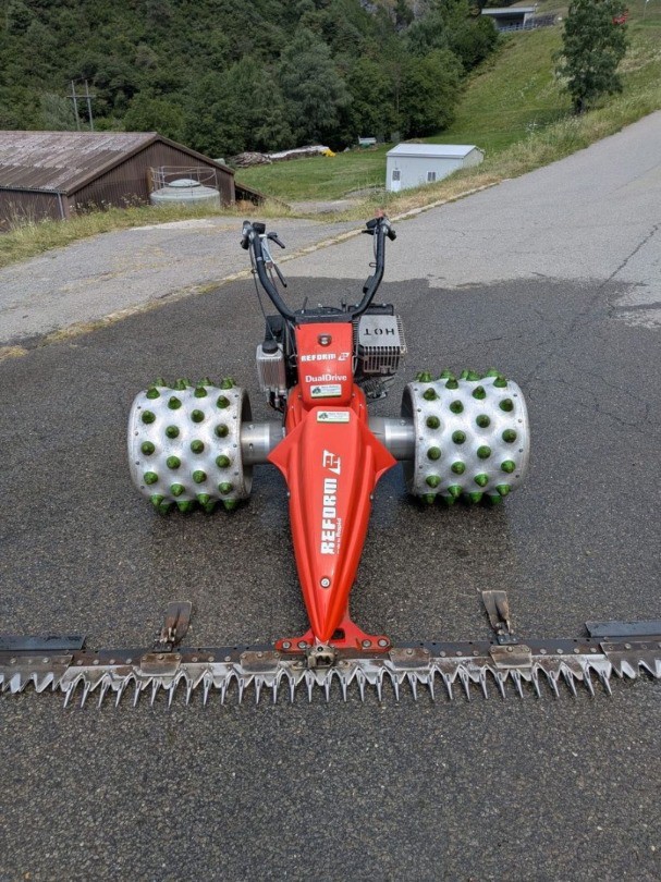 fc7bbff1-218d-43ba-bb69-26ddb81bac17-reform-rm16 (1).jpg