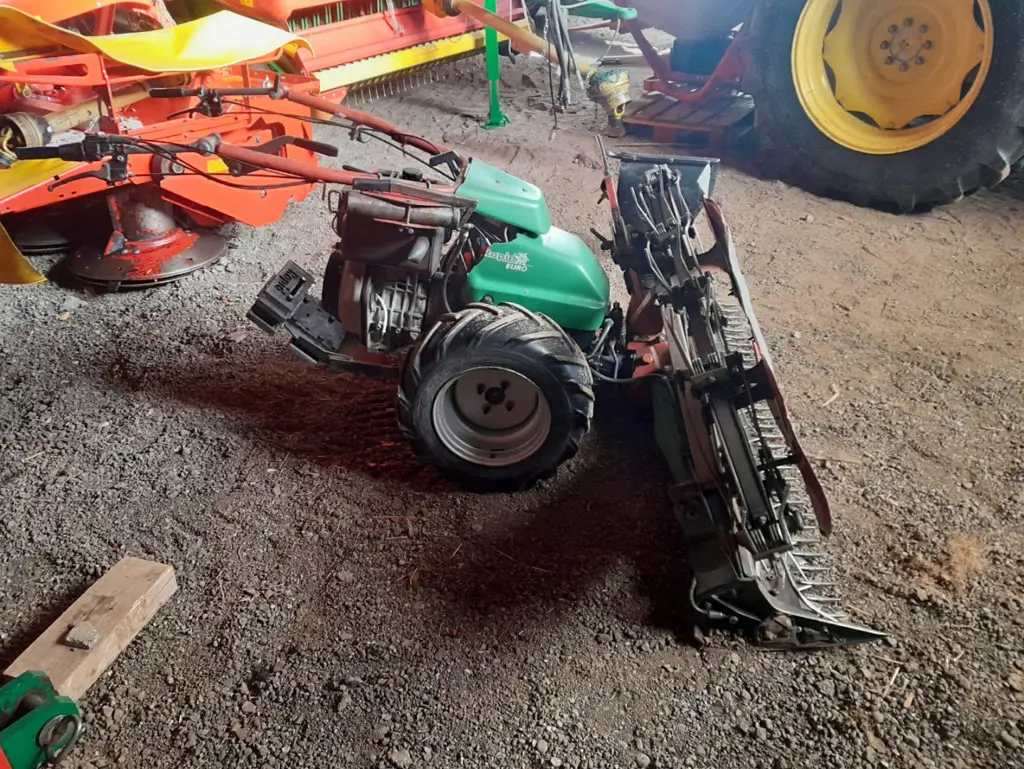 a55e2b68-3557-4a76-8306-0d85c756f2c4-WhatsApp Image 2026-02-26 at 14.jpg