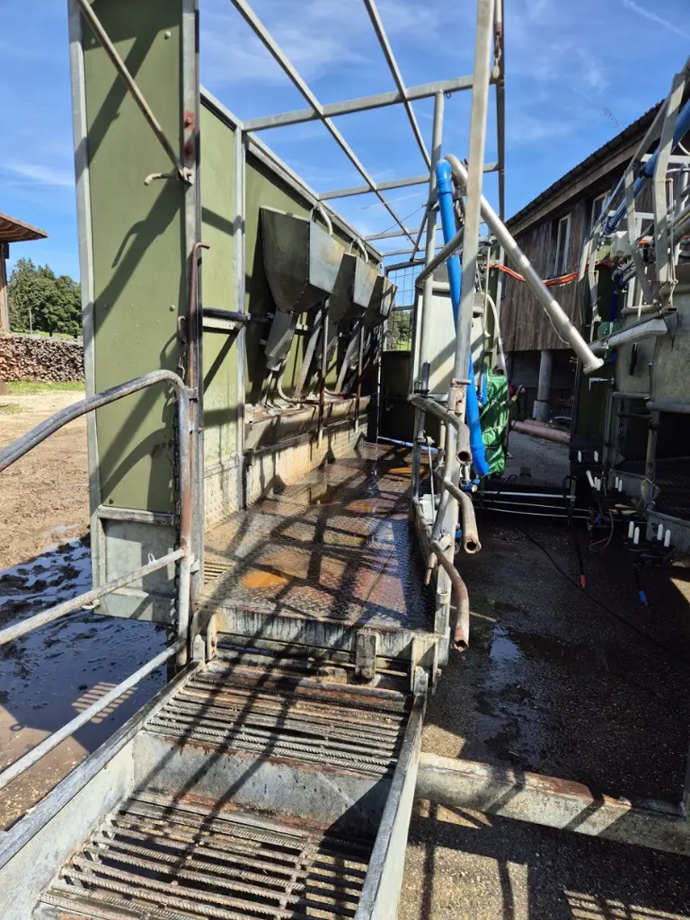 7d99c2f0-d3ba-44ce-a52e-2f09ba504eb7-Cremers Steiner  (15).jpg