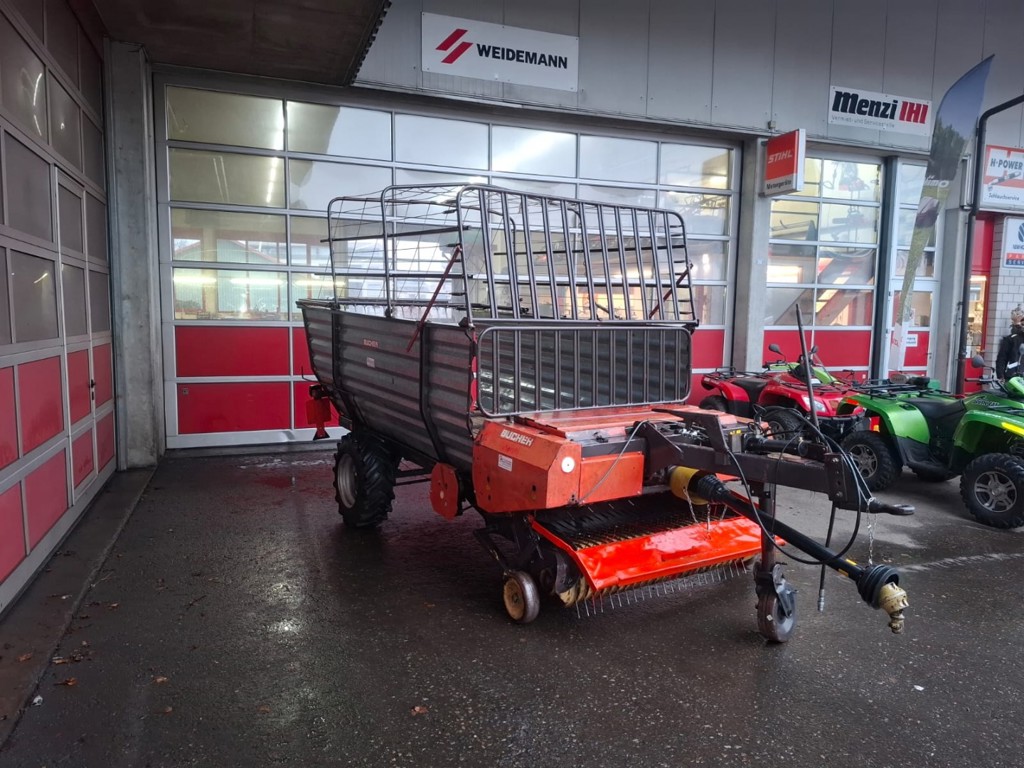 299ff148-767c-4661-806b-edca0ade9a67-WhatsApp Image 2026-01-28 at 17.jpg