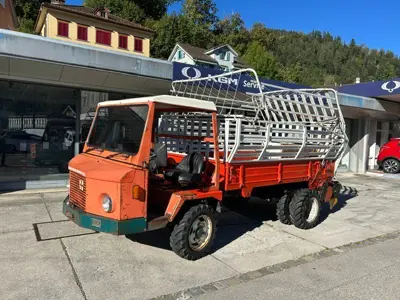 Muli 45 mit Ladegerät