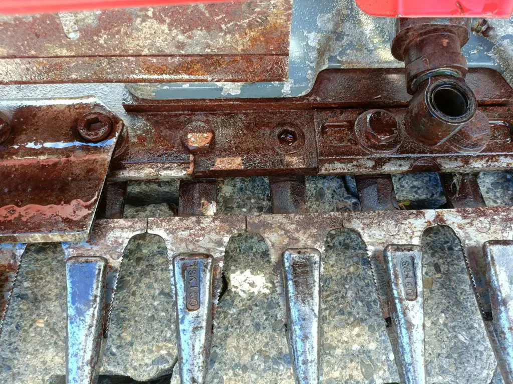 c40dc202-f4f5-4f92-8570-5a31f28b924d-IMG20250426174935.png