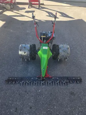 Rapid Rex