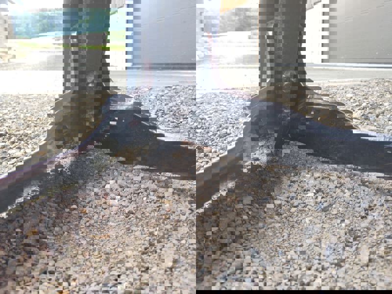 9364dd10-9653-4e35-8358-8f3ab194846e-Megadan 6.jpg