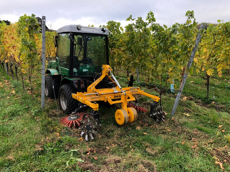 9b44611b-f129-4836-b60a-c8eff74fa25e-Kulti 3.jpg