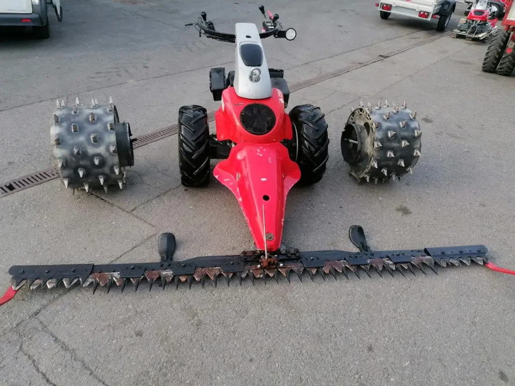 f263ffb4-6531-456b-9687-9766fee296b4-WhatsApp Image 2026-03-10 at 08.jpg