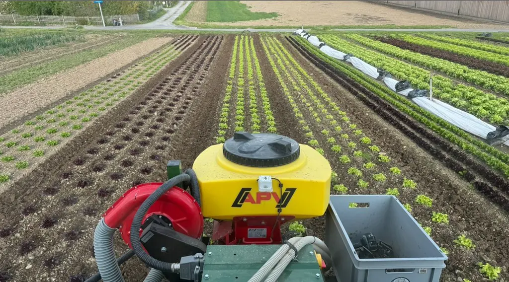 fe98b0b7-d555-4d36-8dc9-b307229ce695-Screenshot 2026-03-26 075103.jpg