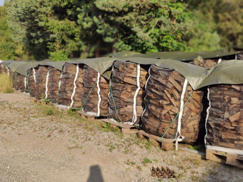 e03b3812-311c-4eeb-a401-22e726b1d63b-WhatsApp Image 2023-08-23 at 09.11.07.jpeg