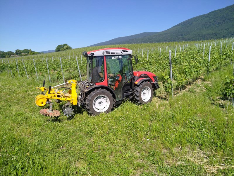 9a01e209-b9e3-4066-af1e-19cf2c5f1d56-kutli 7.jpg