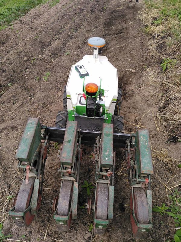 676b0140-1428-4f9f-9c50-1a44061b2f03-4 reihig säen.jpeg