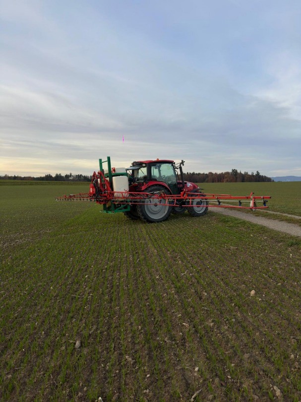 d297e148-19dd-42cc-9163-a3660dcf65cb-WhatsApp Bild 2025-11-13 um 16.jpg