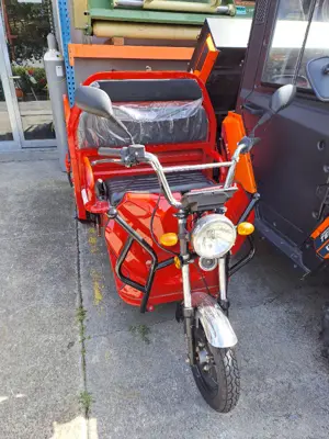 Carello LDR 35 Elektrotransporter Lastendreirad