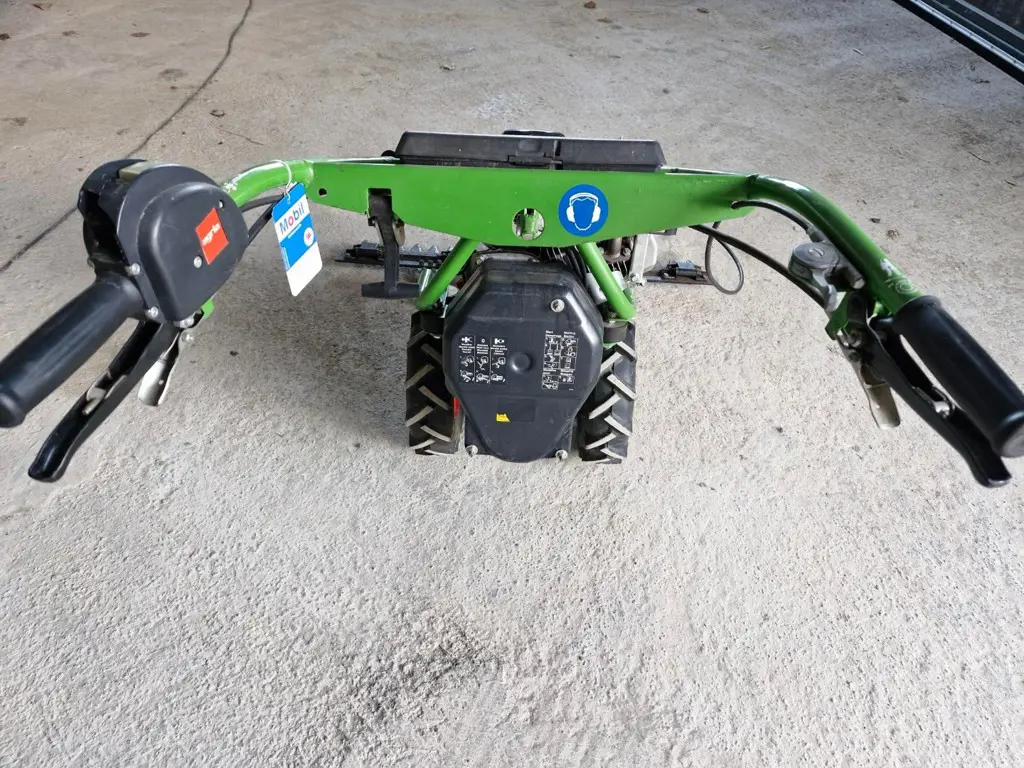 e3758205-5b38-4f7c-8053-2d90ec9eea55-Occasion Agria 3.jpg