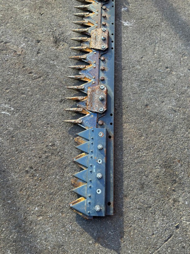 e8700f7e-acb8-4608-b2b5-c7192446a6d3-Foto 12.12.25, 10 44 59.jpg