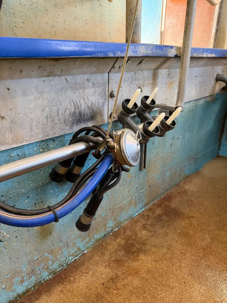 3ddc577a-908c-469c-9132-b96d1ab73759-WhatsApp Image 2026-03-19 at 09.06.14 (3).jpg