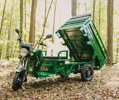 Tricycle électrique Carello LDR-35