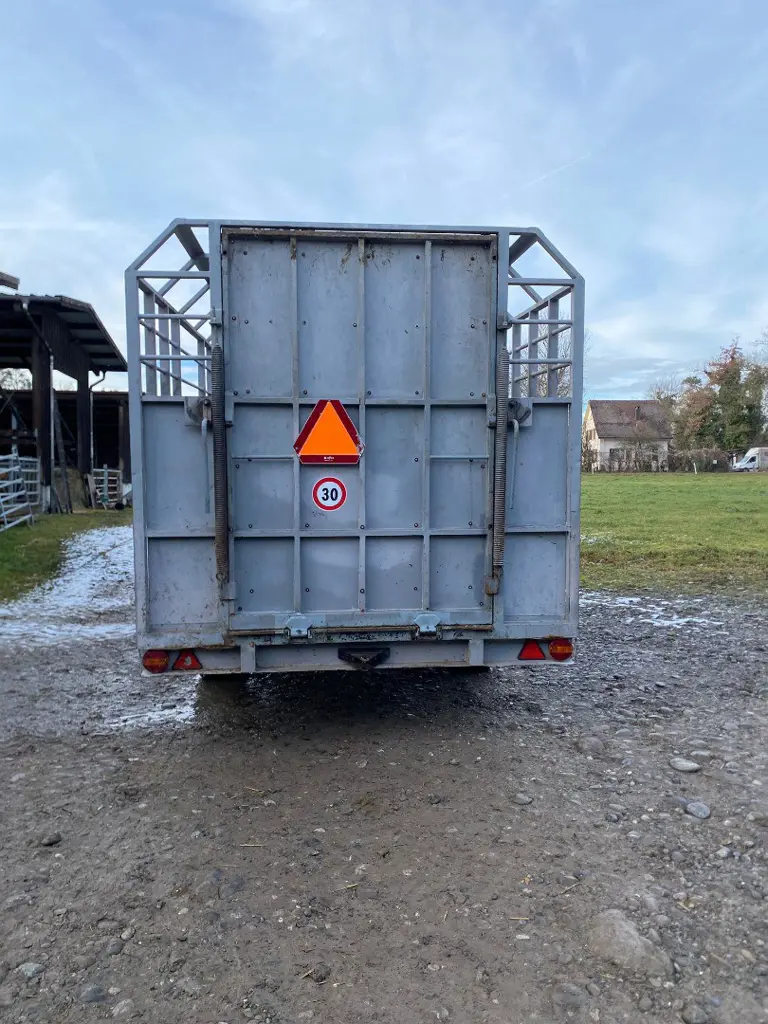 d7280727-27cf-4f86-a0d2-b7dcd1e646ed-WhatsApp Image 2026-01-14 at 21.jpg