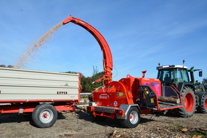 f62200c6-c7b1-4d35-b013-3d4c3e152c53-Biber 7.JPG