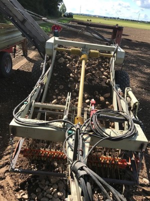 Steinsammler Steinrechen